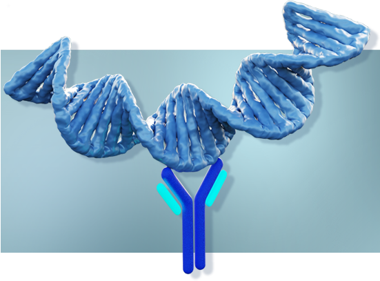 hyaluronidase image