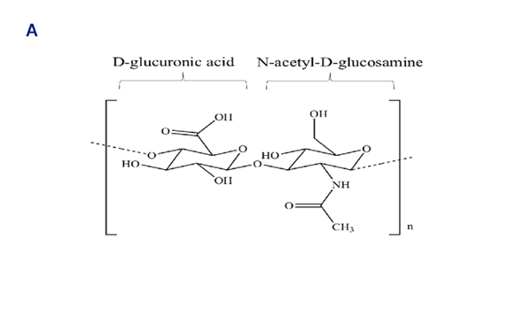 hyaluronidase image