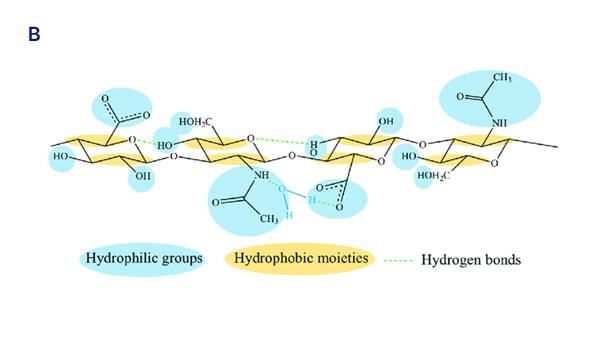 hyaluronidase image